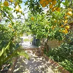 Hotel Celeste 3*