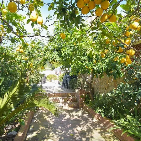 Hotel Celeste 3*