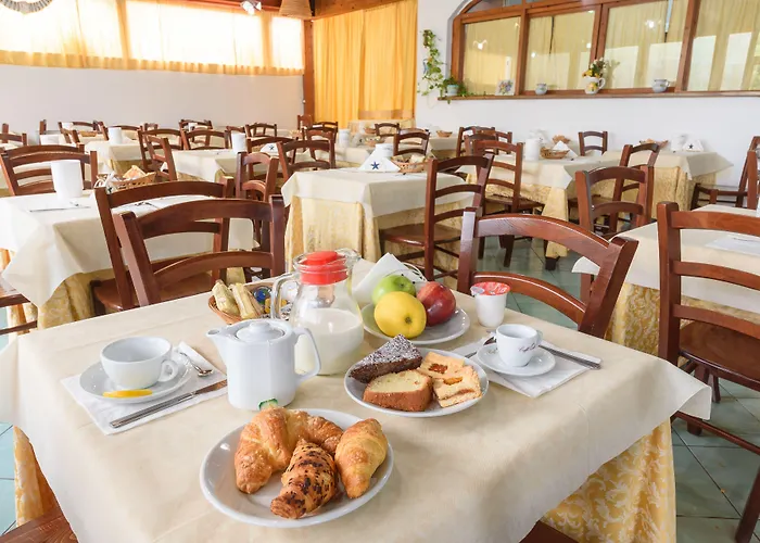 Celeste プロチーダ