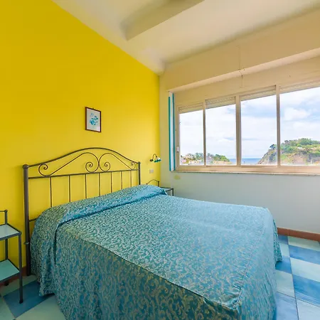 Celeste 普罗奇达