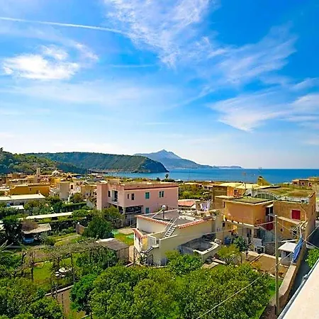 Celeste Procida