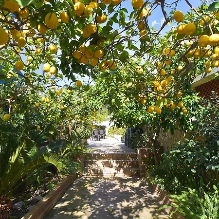 酒店 Celeste 普罗奇达