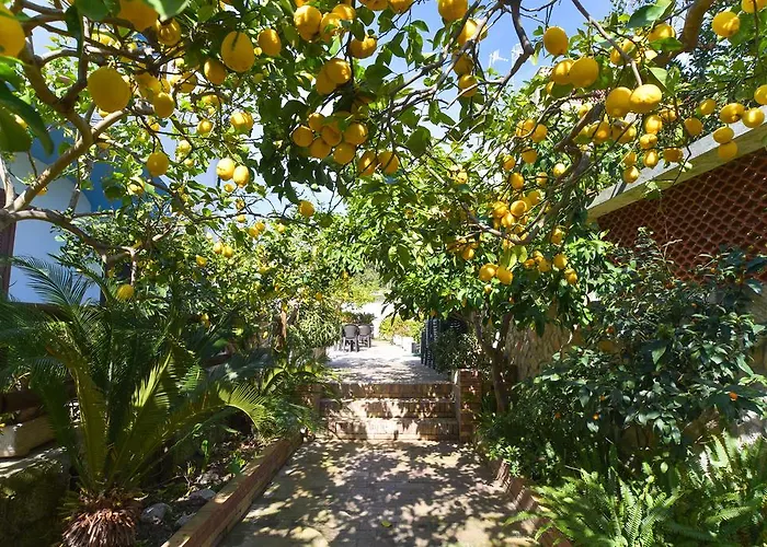 Hotel Celeste Procida